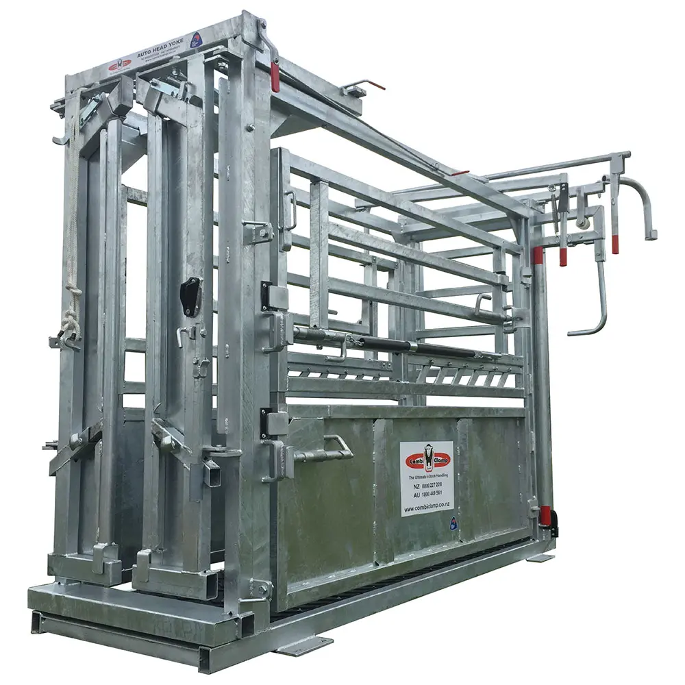 A standard heavy-duty cattle crush in a farm yard